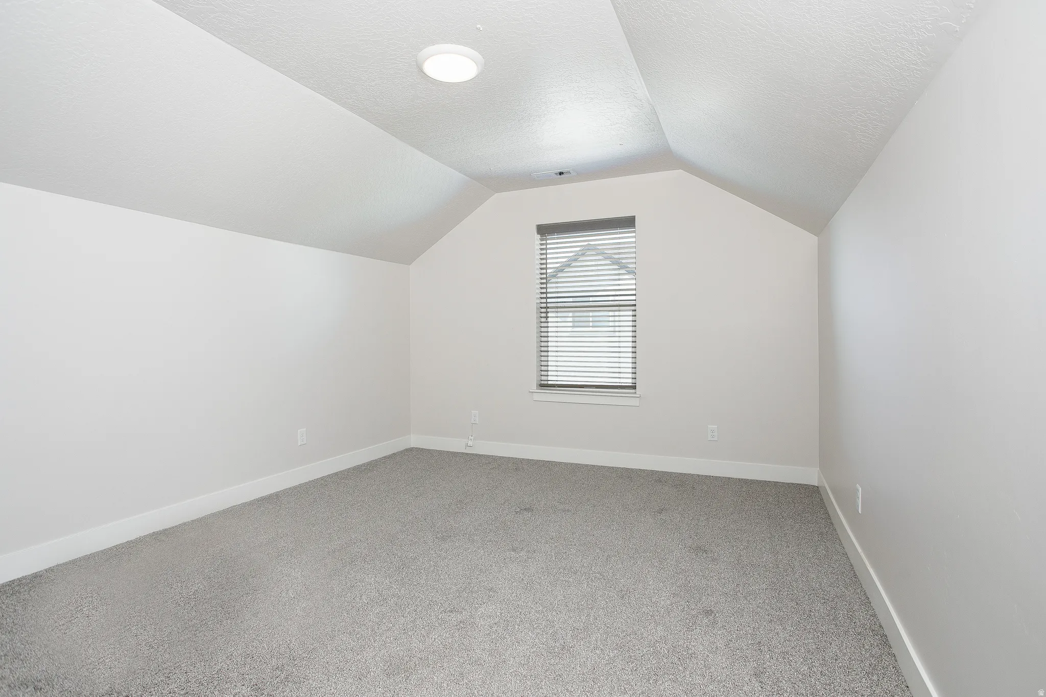 Vaulted ceiling with an overhead light fixture, light gray carpeting, and a window with blinds