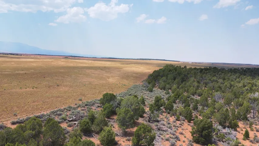 Expansive land featuring a diverse landscape with open fields and a tree line