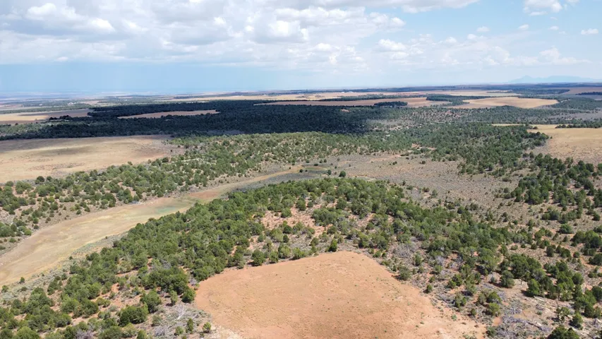 Expansive undeveloped land featuring varied terrain, natural vegetation, and distant horizons