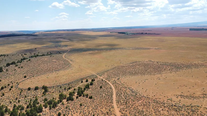 Expansive undeveloped land featuring natural terrain with scattered vegetation and a visible dirt path
