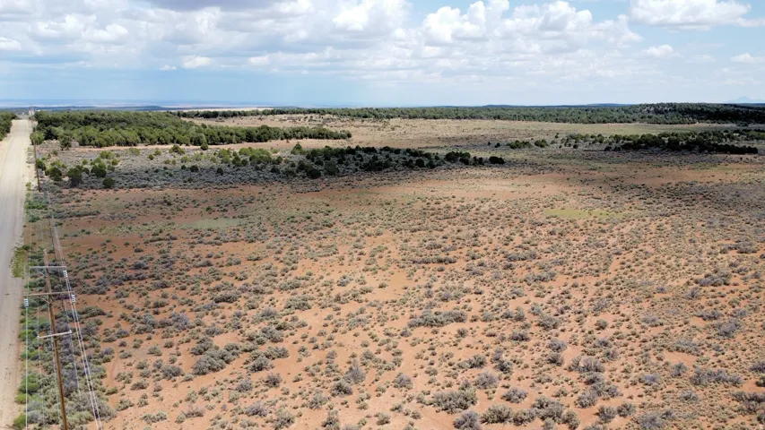 Expansive undeveloped land with natural vegetation, featuring a long unpaved road
