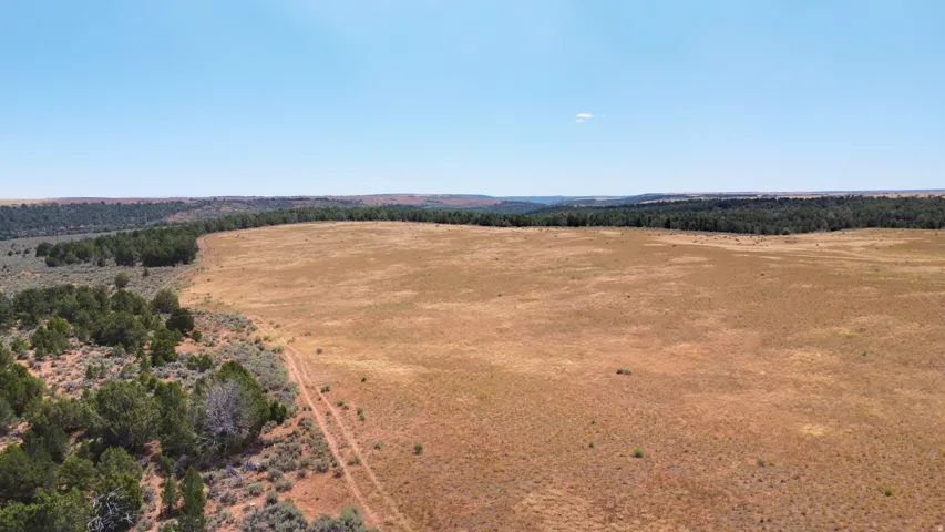 Expansive open terrain with natural vegetation and distant tree lines