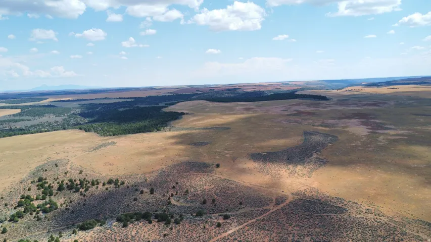 Expansive natural landscape featuring varied terrain, scattered vegetation, and distant tree lines