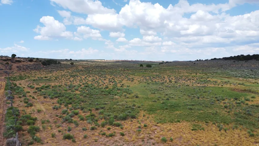 Expansive land featuring varied natural vegetation under a broad sky