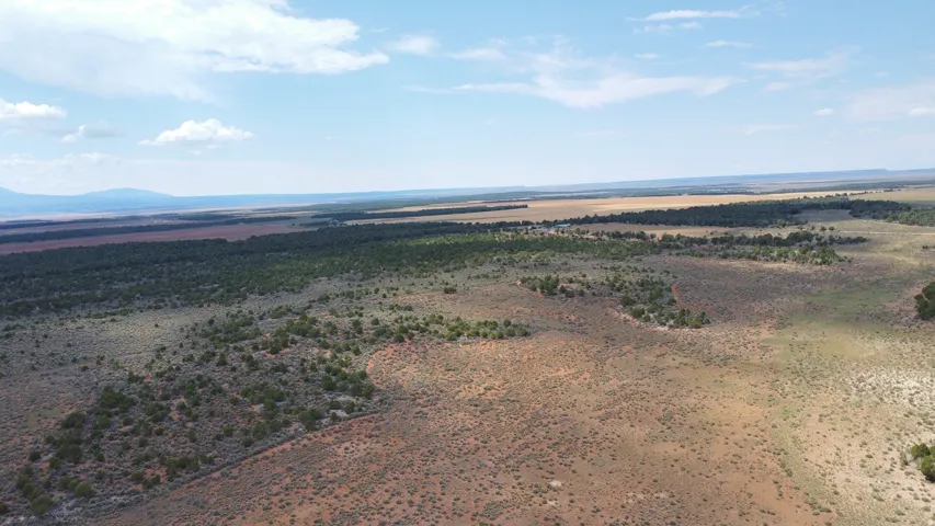 Expansive desert landscape featuring varied terrain and distant mountains