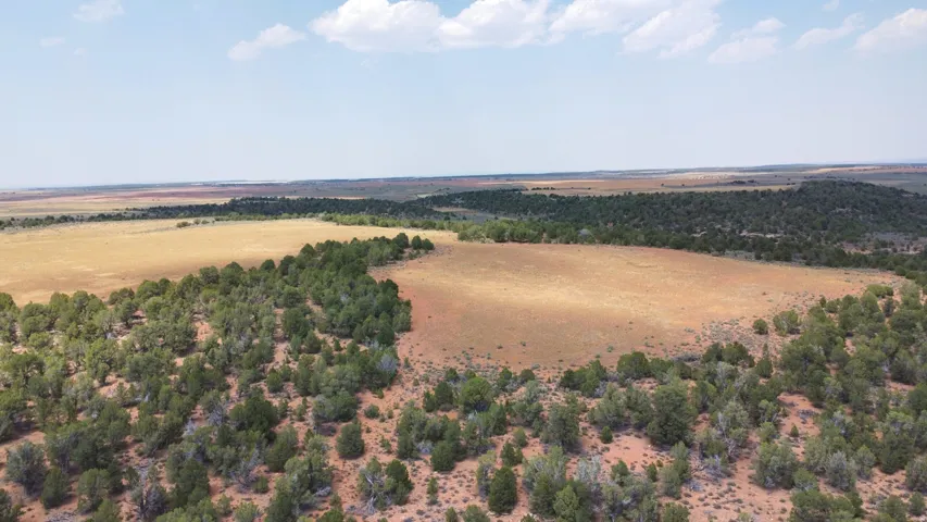 Expansive land featuring mature trees and open fields
