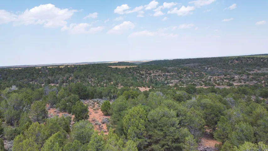 Expansive natural landscape featuring varied terrain and abundant tree coverage