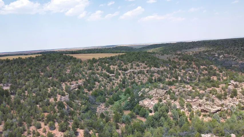 Expansive natural landscape featuring varied terrain, abundant evergreen trees, and distant open fields under a bright sky