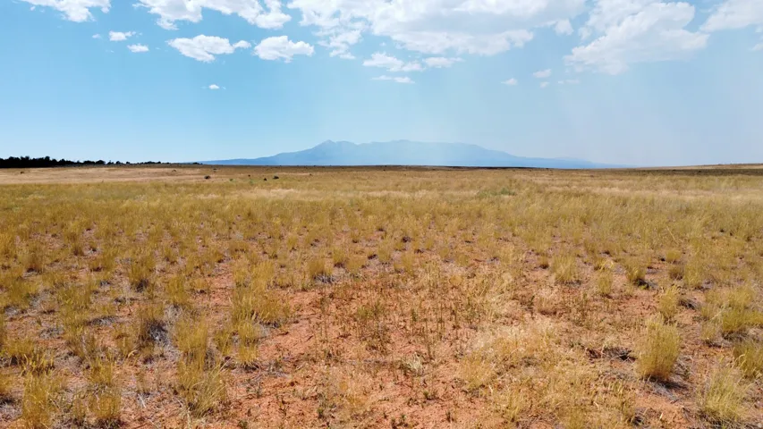 Expansive open land with natural grasses, distant mountains, and a clear sky