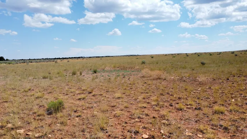 Expansive open terrain with natural ground cover