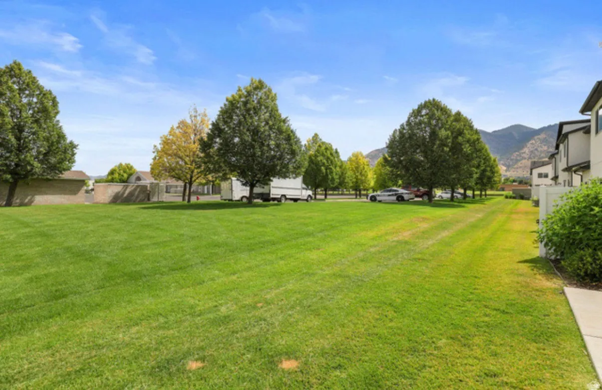 Expansive green space featuring mature trees and a concrete walkway