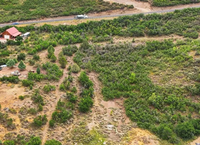 Expansive natural landscape featuring varied green foliage and a distant road