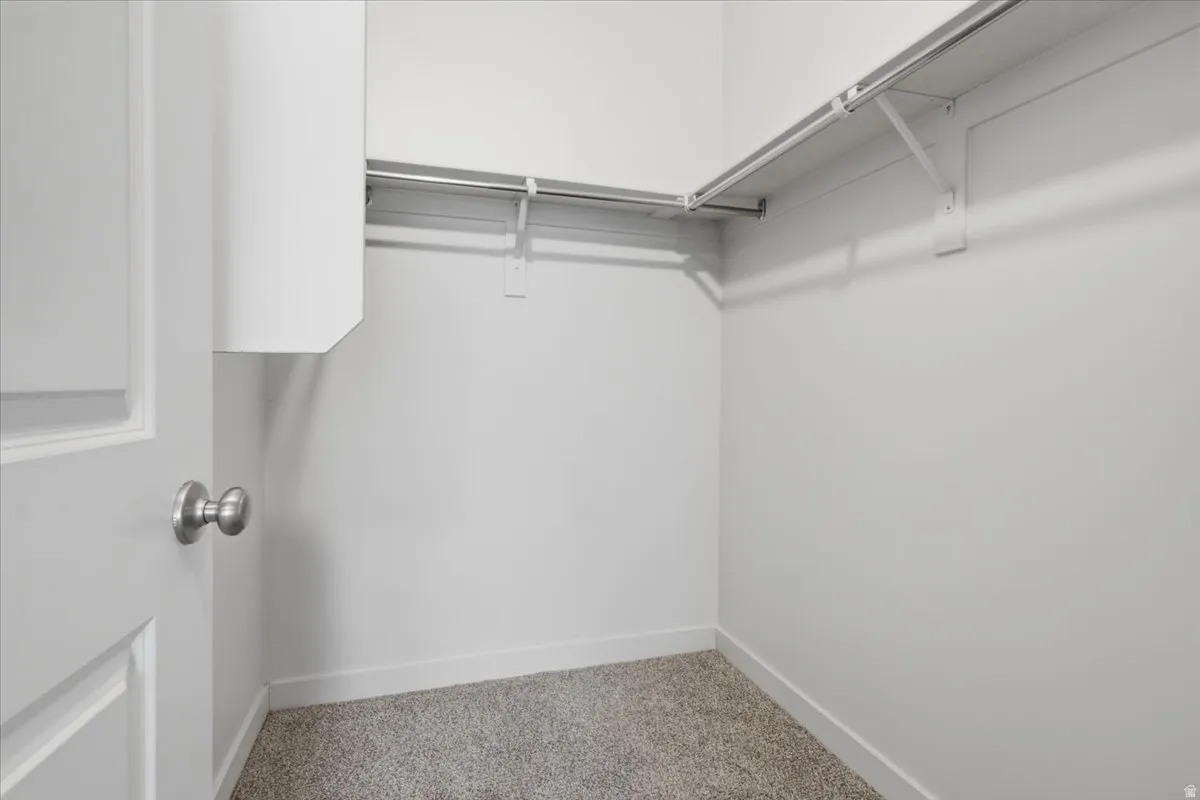 Walk-in closet featuring built-in shelving, hanging rods, and carpeting