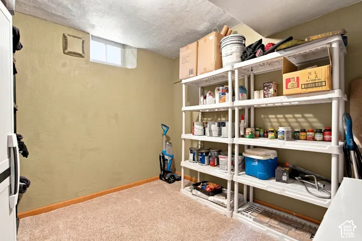 Basement bedroom 2