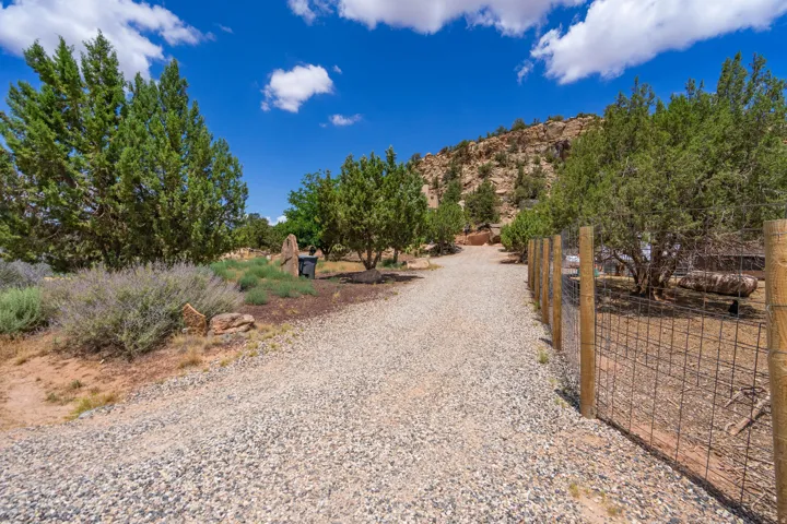 Rustic property driveway lined with mature shade trees and native landscaping, leading toward hillside terrain