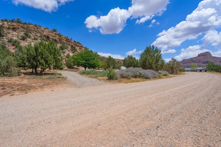 Gravel driveways with surrounding mature trees and natural landscaping