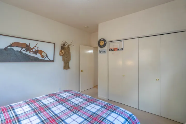 Neutral wall color, carpet flooring, and bi-fold closet doors with gold-tone hardware