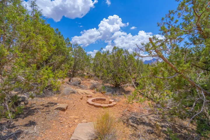 Expansive outdoor space featuring native trees, natural rock formations, a built-in stone fire pit, and clear sky scenery