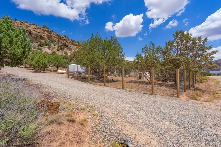 Gravel driveway leading to a fenced enclosure, mature evergreen trees, and natural rock formations