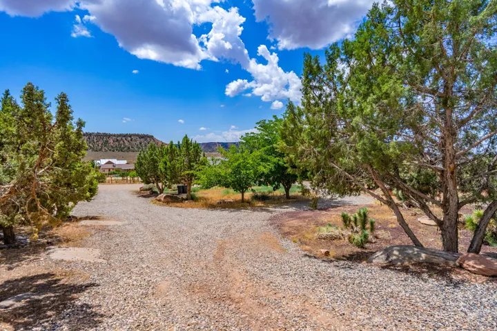 Gravel driveway with natural landscaping and mature trees