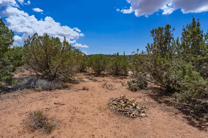 Expansive undeveloped land featuring natural desert vegetation and a clear blue sky