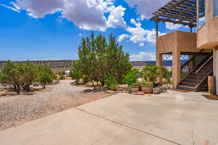 Expansive concrete driveway with mature landscaping featuring established trees and desert xeriscaping
