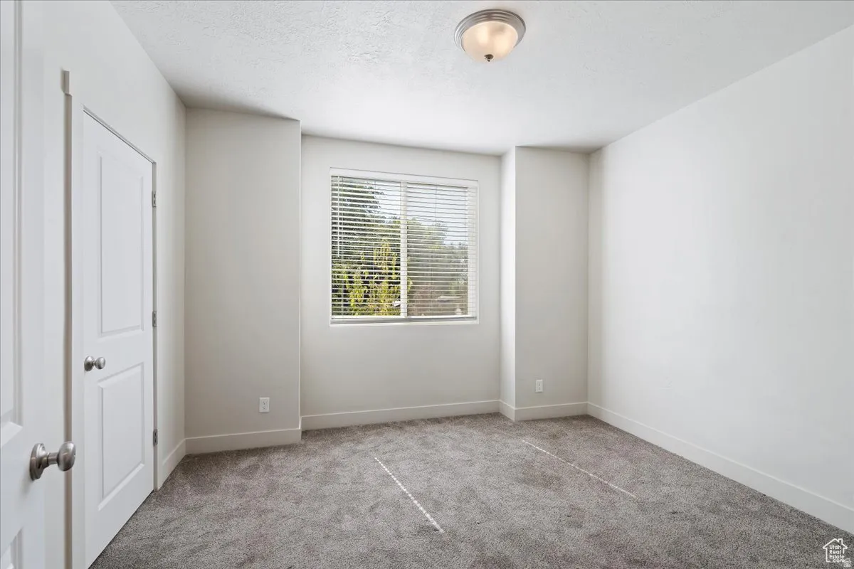 Bright bedroom with expansive windows flooding the space with natural light, neutral wall finishes, plush carpeting, and a ceiling-mounted light fixture