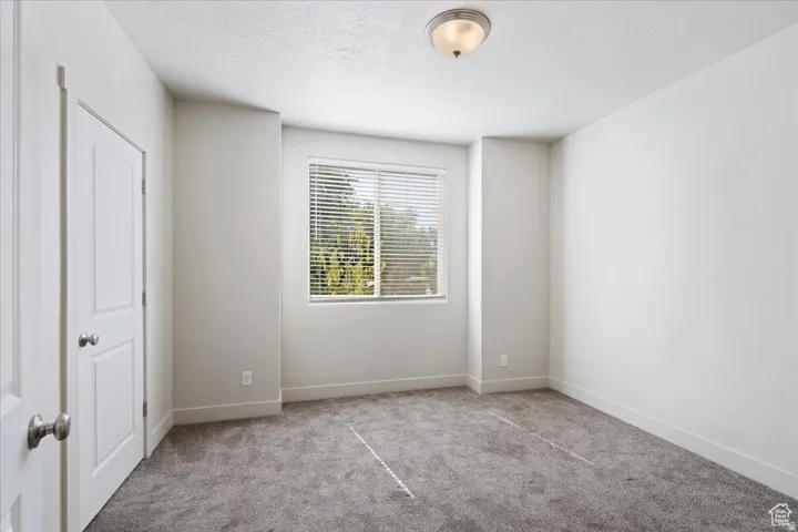 Bright bedroom with expansive windows flooding the space with natural light, neutral wall finishes, plush carpeting, and a ceiling-mounted light fixture