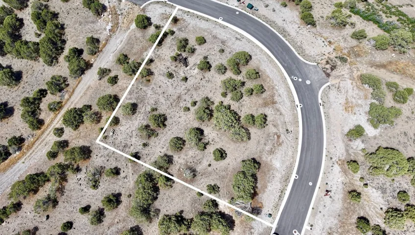 Expansive undeveloped lot with natural vegetation, bordered by a paved road