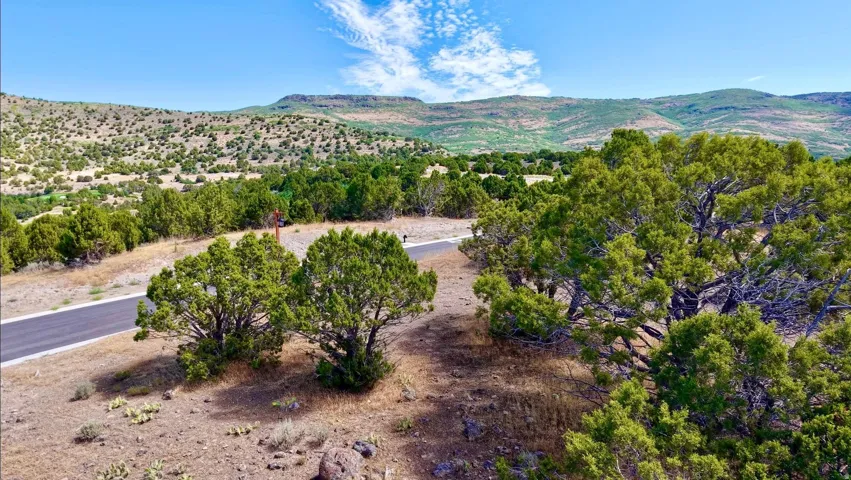 Scenic acreage featuring mature juniper and pinyon pine trees, a paved driveway winding through the property, and expansive high-desert landscape with rolling hills and mountain vistas in the distance