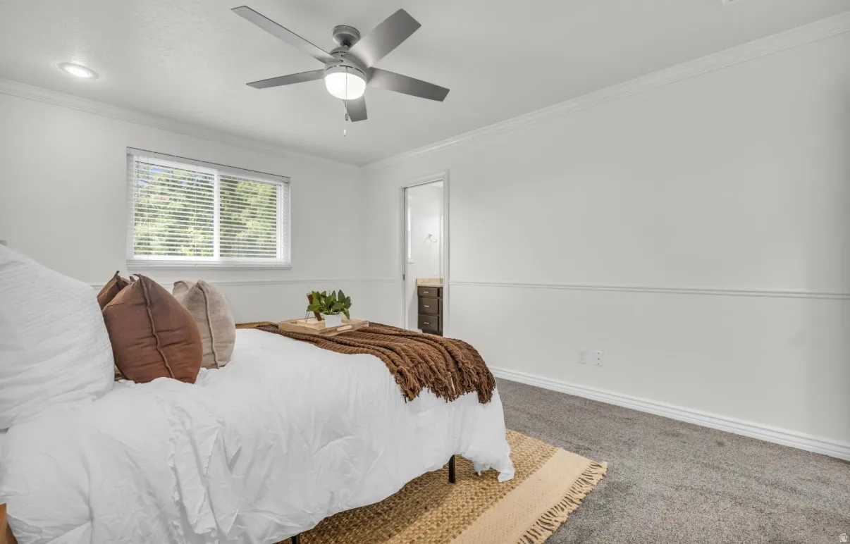 Bright bedroom featuring a ceiling fan with integrated lighting, large double-hung windows with blinds, neutral wall finishes with horizontal shiplap detailing, and neutral-toned carpet flooring