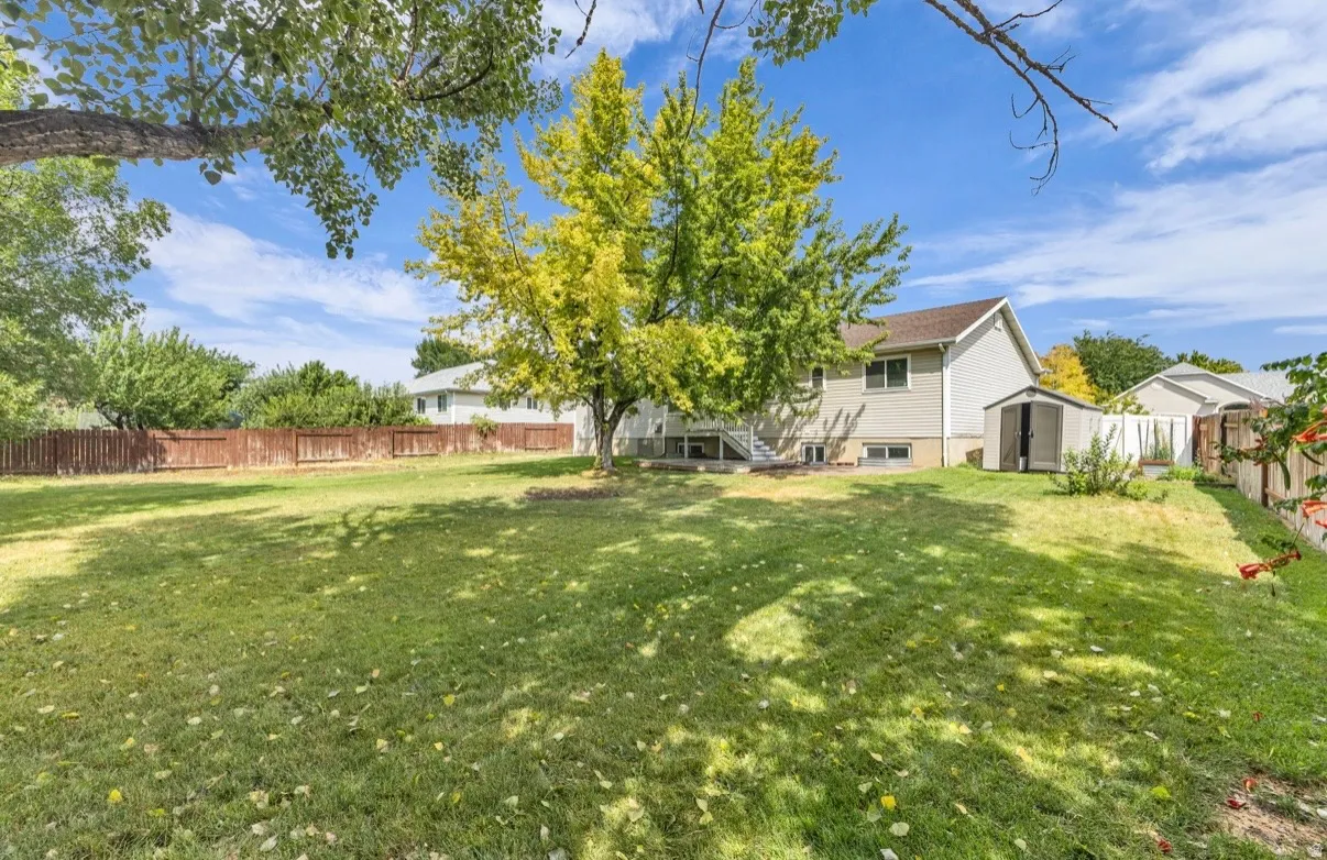 Expansive green lawn with mature trees and a privacy fence