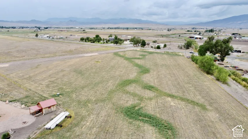 Expansive agricultural land.