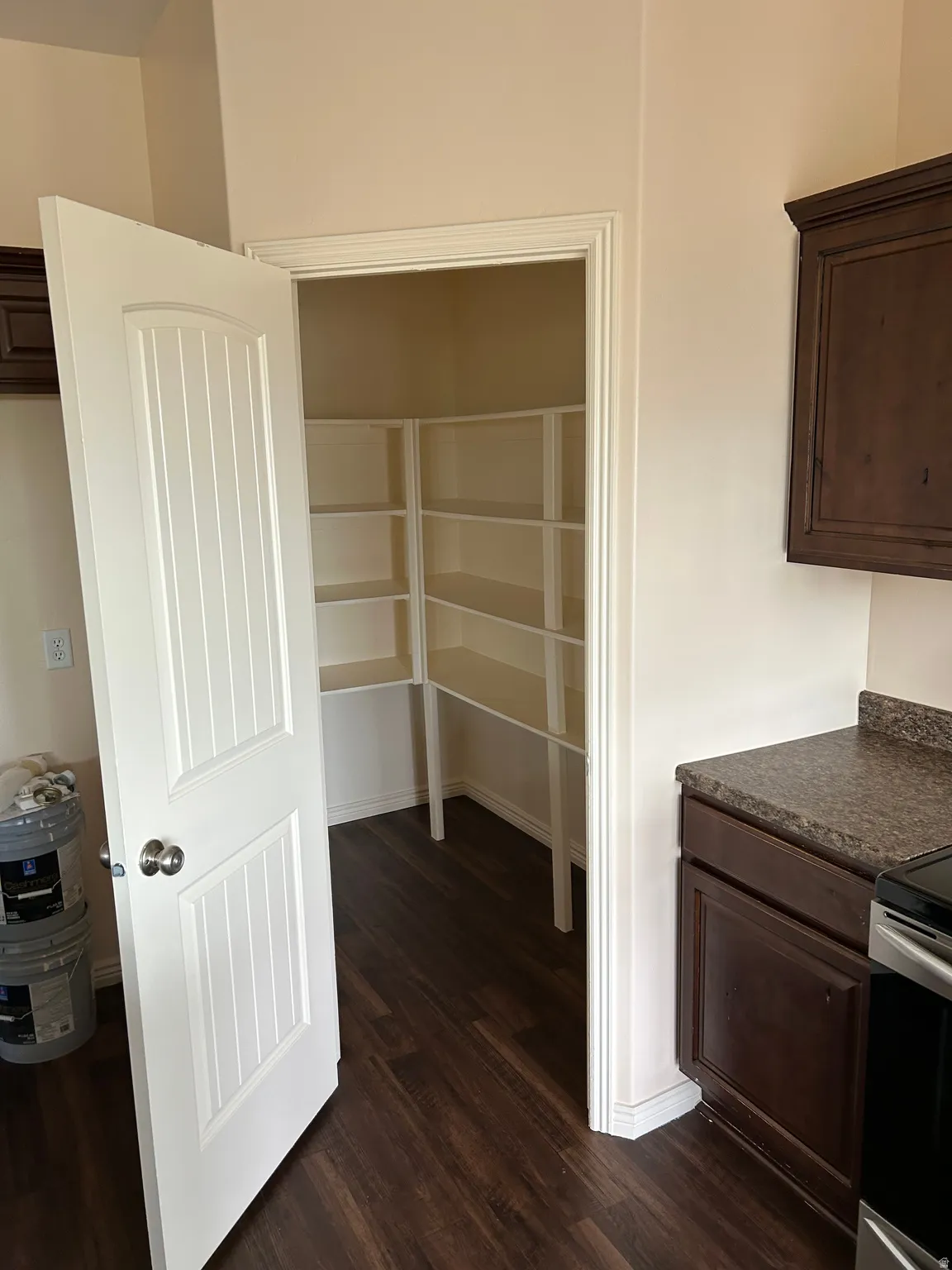Walk-in pantry with extensive built-in shelving, rich wood-finish flooring, and a beadboard-style door