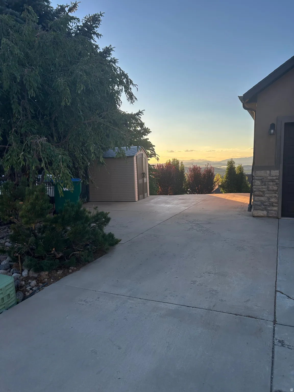 Concrete driveway with a detached storage shed, mature trees, and shrubs