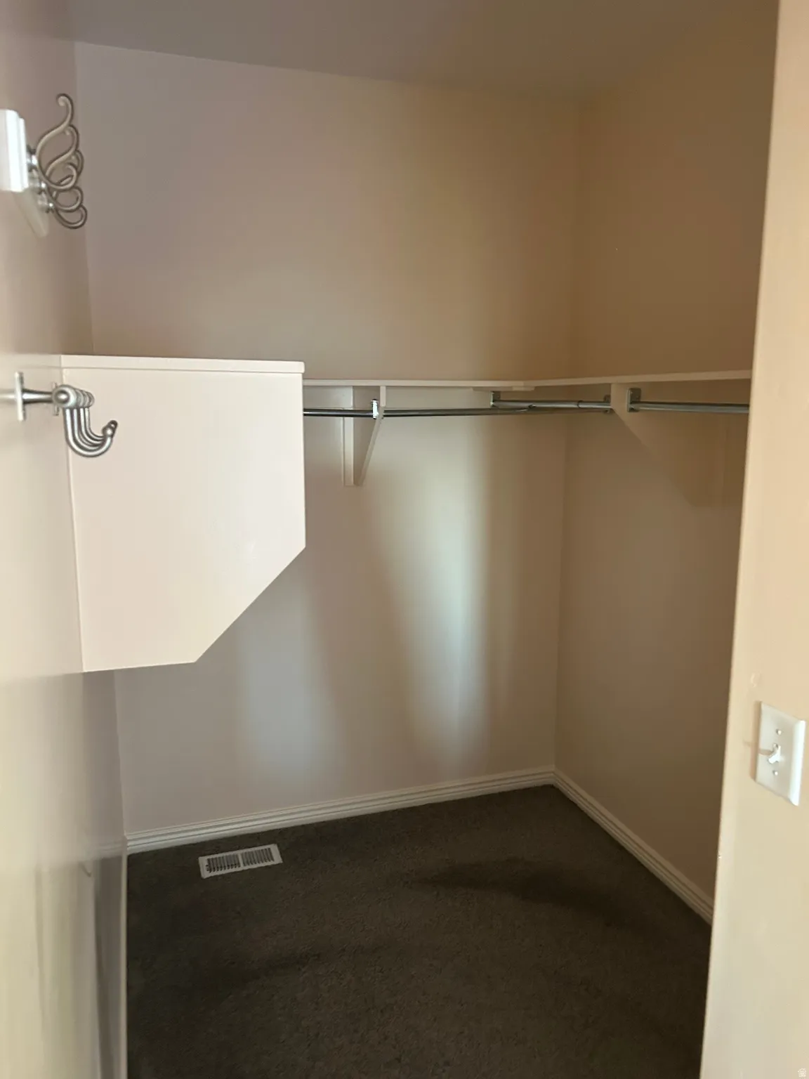 Walk-in closet featuring carpeted flooring, built-in shelving, and hanging rods