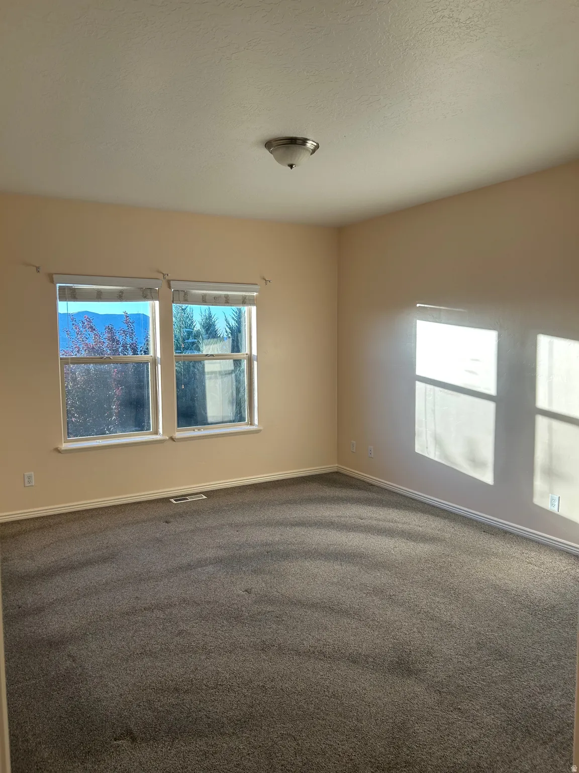 Recessed lighting, neutral-toned walls, and carpeted flooring