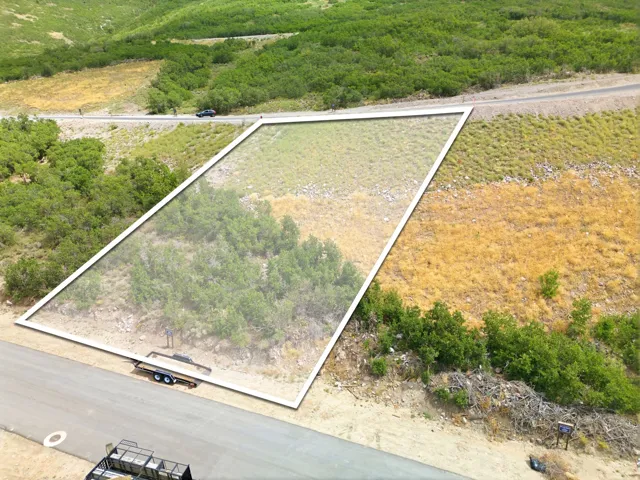 Expansive land parcel featuring natural foliage and a paved road