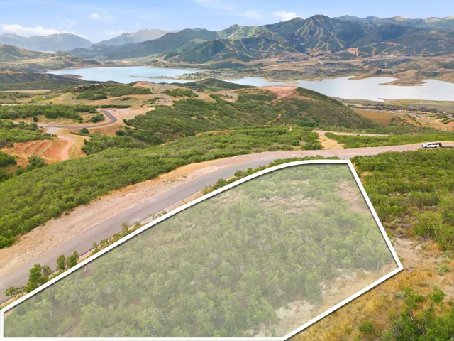 Expansive undeveloped lot with natural ground cover, bordered by a paved road