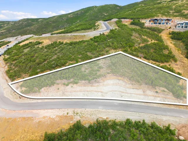 Sloped lot with existing vegetation and a paved road frontage
