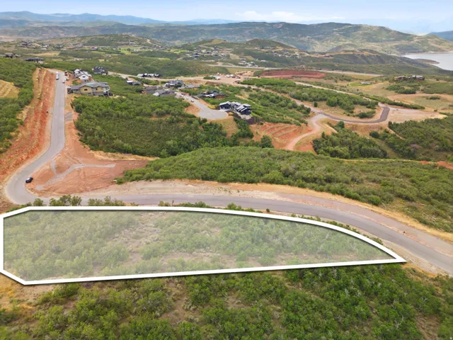 Expansive lot featuring a natural, verdant landscape and a paved road frontage