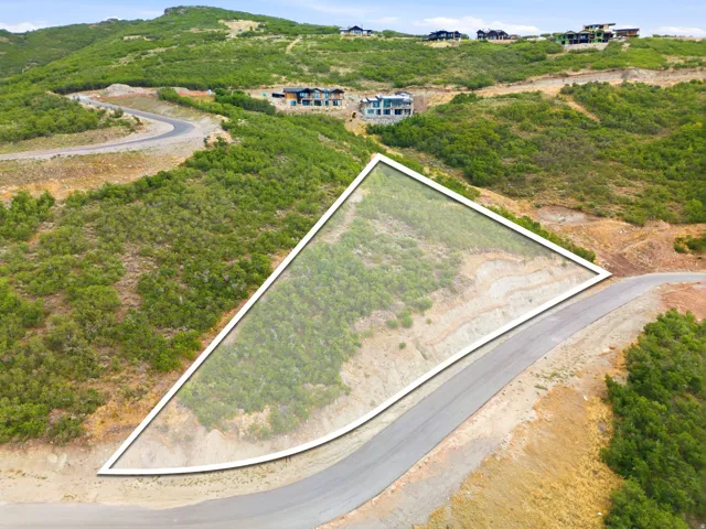 Expansive sloped lot featuring natural ground cover and a paved roadway