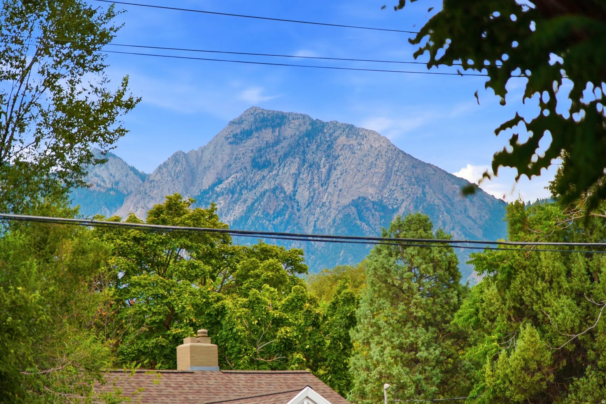 Mountain backdrop with abundant mature trees and a visible rooftop