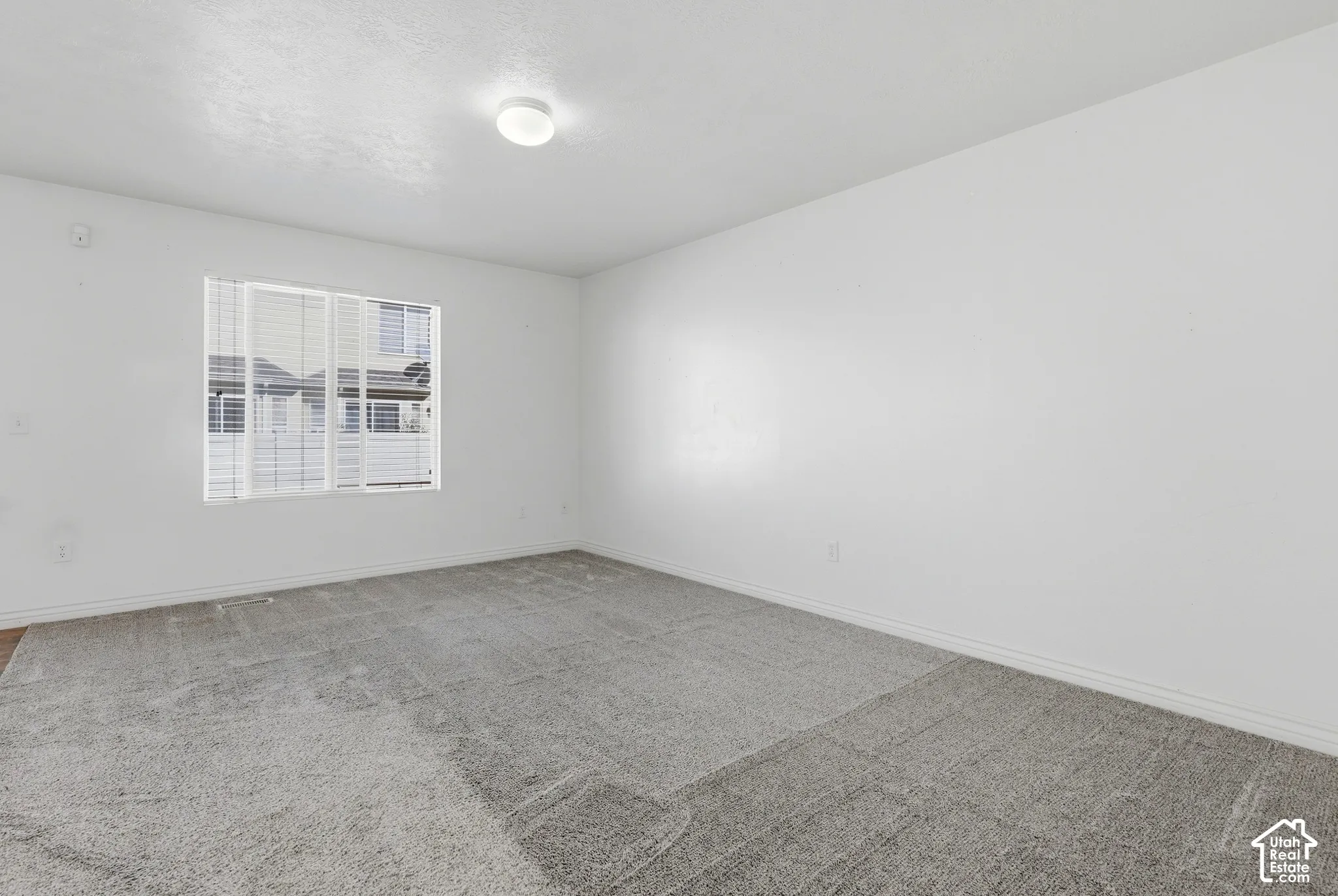 Gray carpeting and white walls