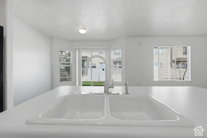 Integrated dual-basin sink with a gooseneck faucet