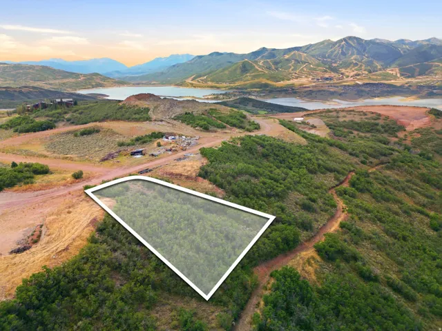 Expansive lot featuring a natural, verdant landscape