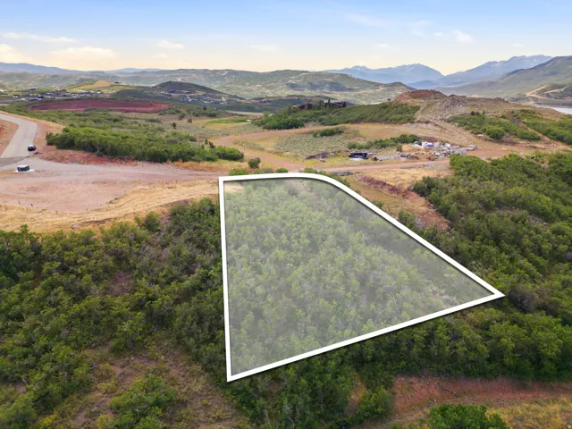 Expansive parcel featuring a natural tree cover and surrounding mountainous terrain