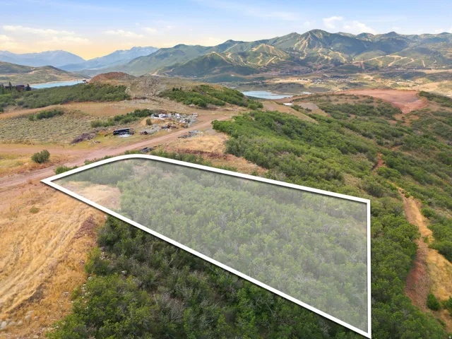Expansive parcel with lush green foliage, featuring a distinct lot boundary