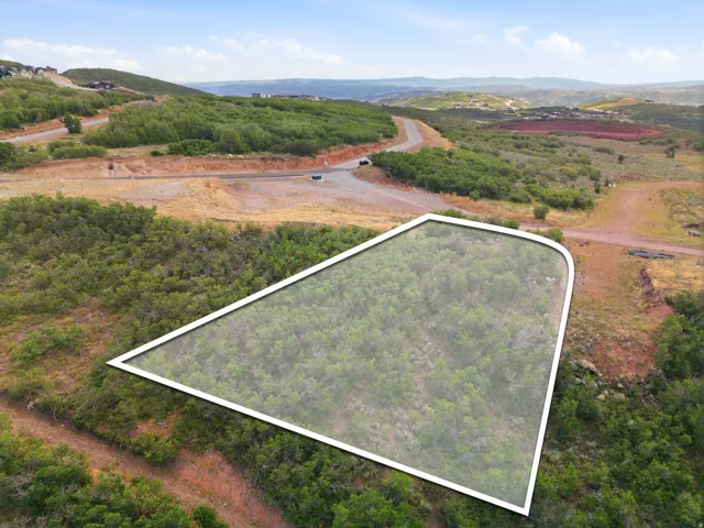 Expansive undeveloped lot with natural vegetation, bordered by a paved road, and distant mountain ranges