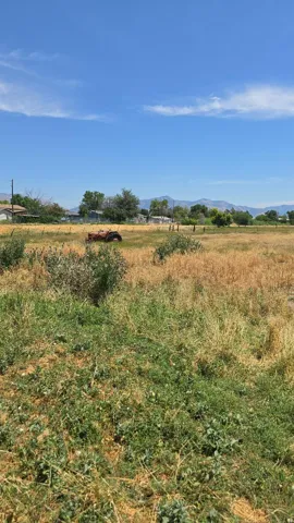 Expansive outdoor space featuring varied ground cover and distant mountains